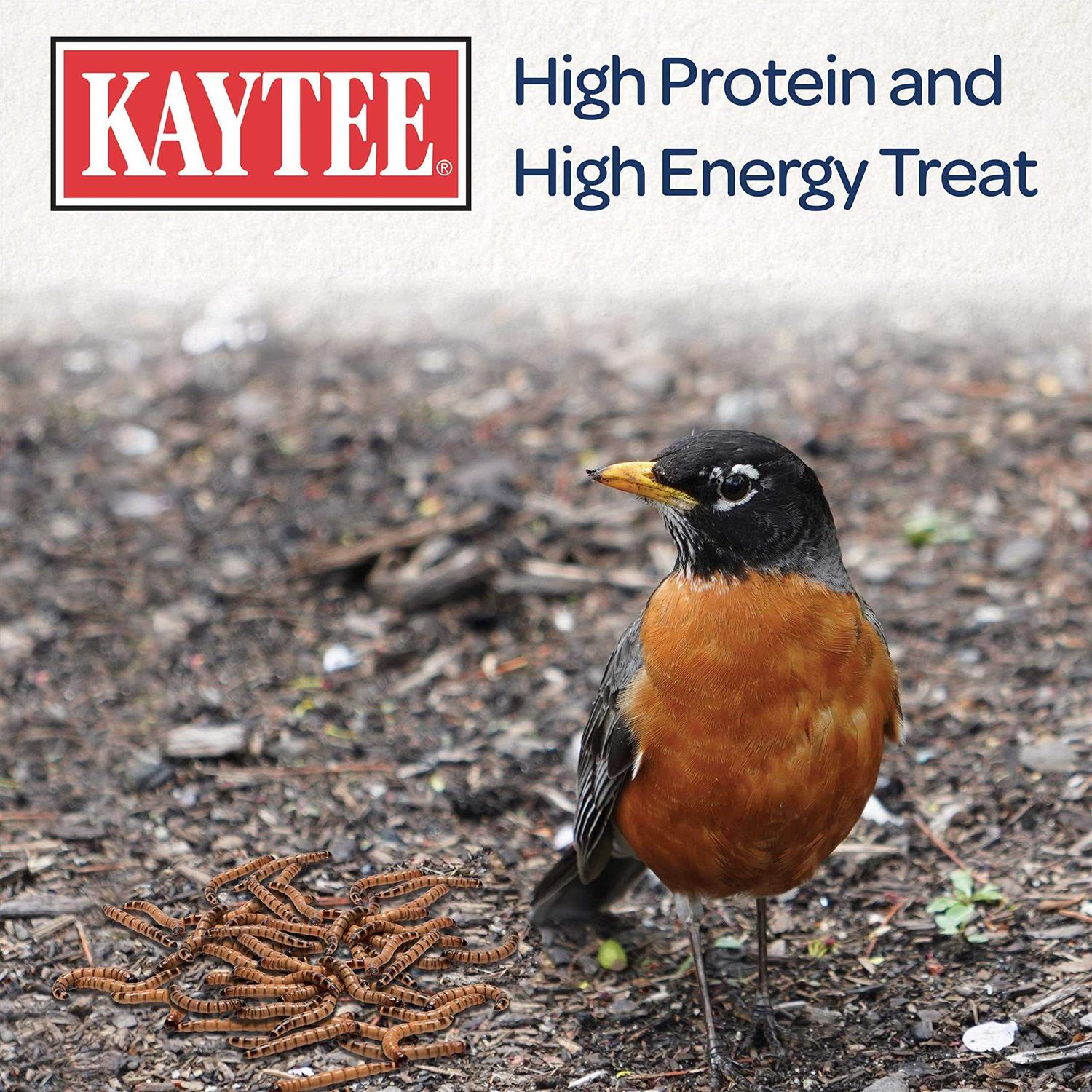 Kaytee Mealworms Bird Food