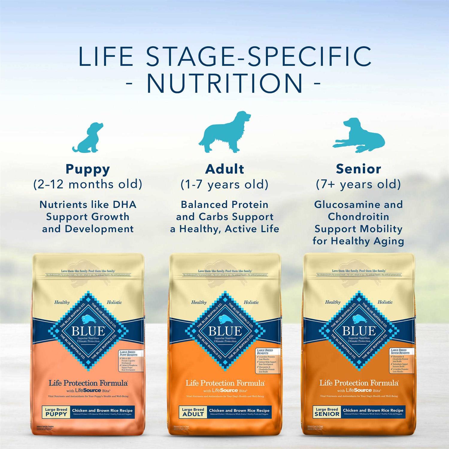Blue Buffalo Life Protection Formula Fish & Brown Rice Adult Dry Dog Food