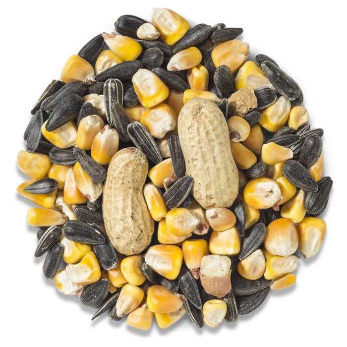 Wild Delight Crunch N’ Nut Squirrel Food