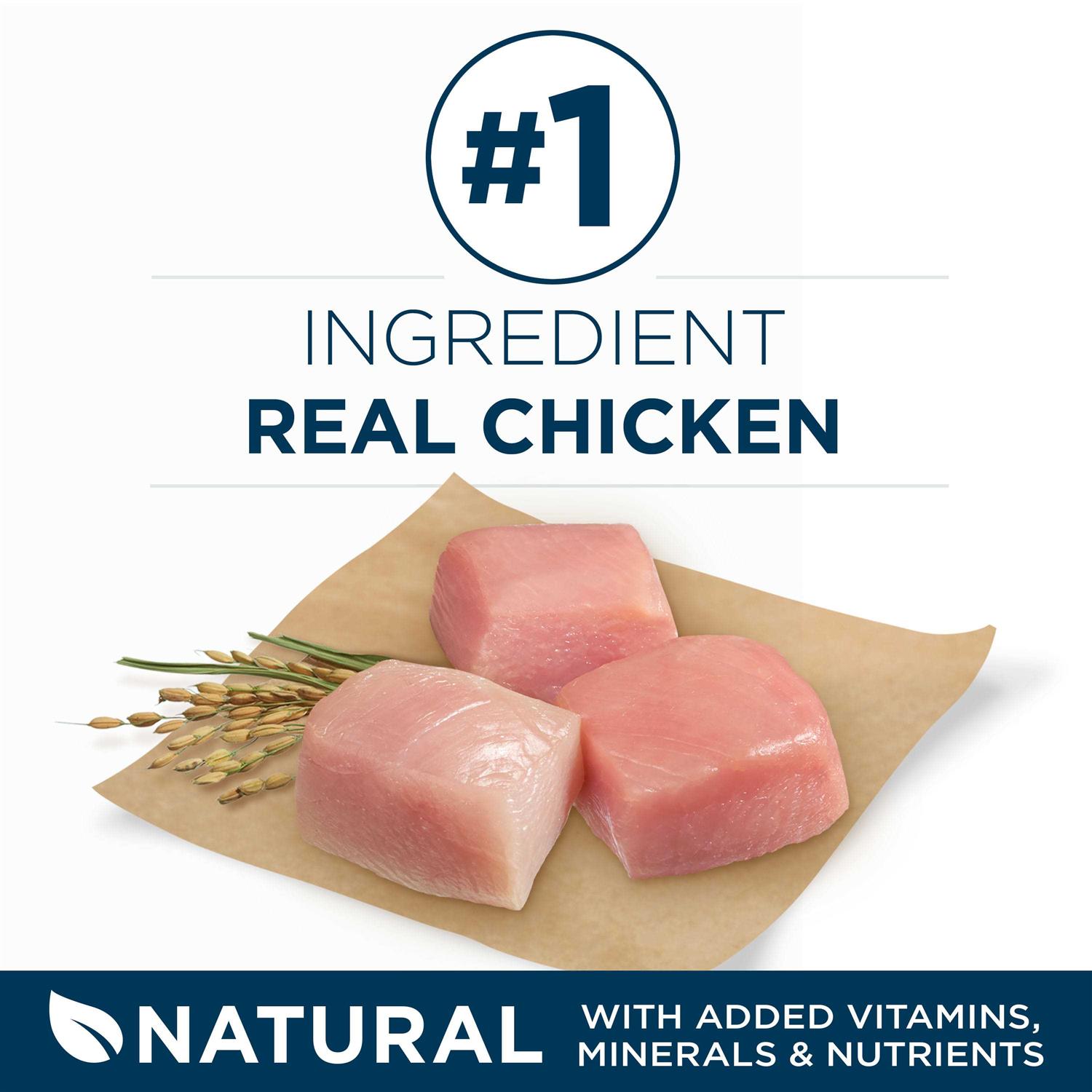 Purina ONE SmartBlend Large Breed Adult Dry Dog Food