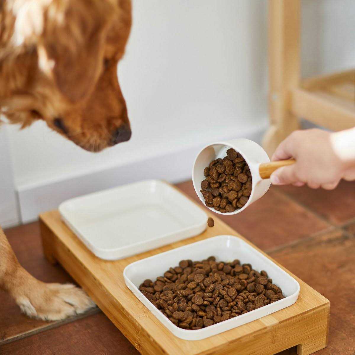 Frisco Melamine Dog & Cat Food Scoop with Bamboo Handle