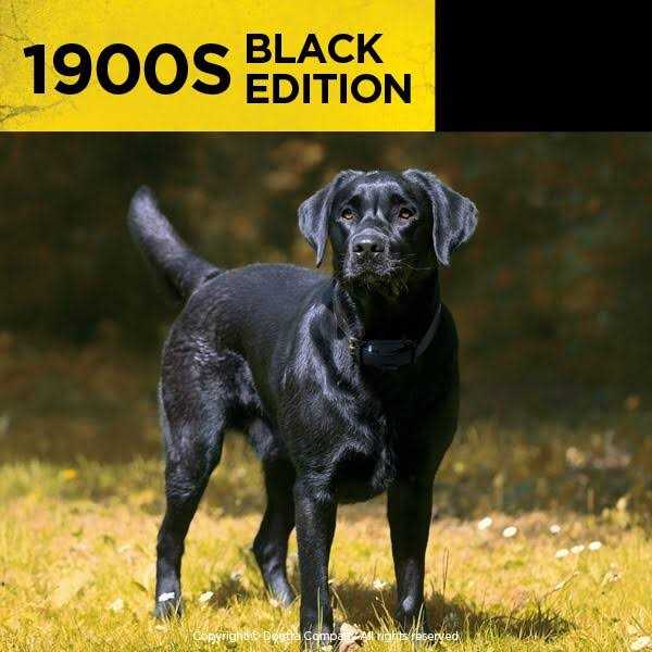 Dogtra 1900S Black Edition 1 Mile Remote Trainer