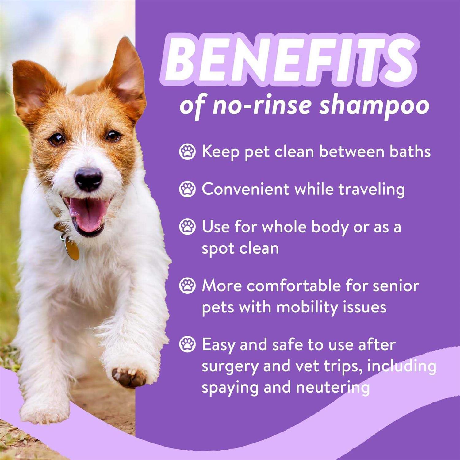 Bodhi Dog Waterless Shampoo Natural Dry Shampoo for Dogs or Cats