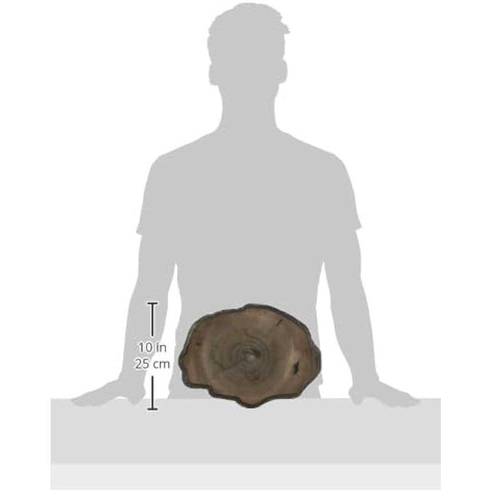 Zoo Med Repti Rock Food Dish