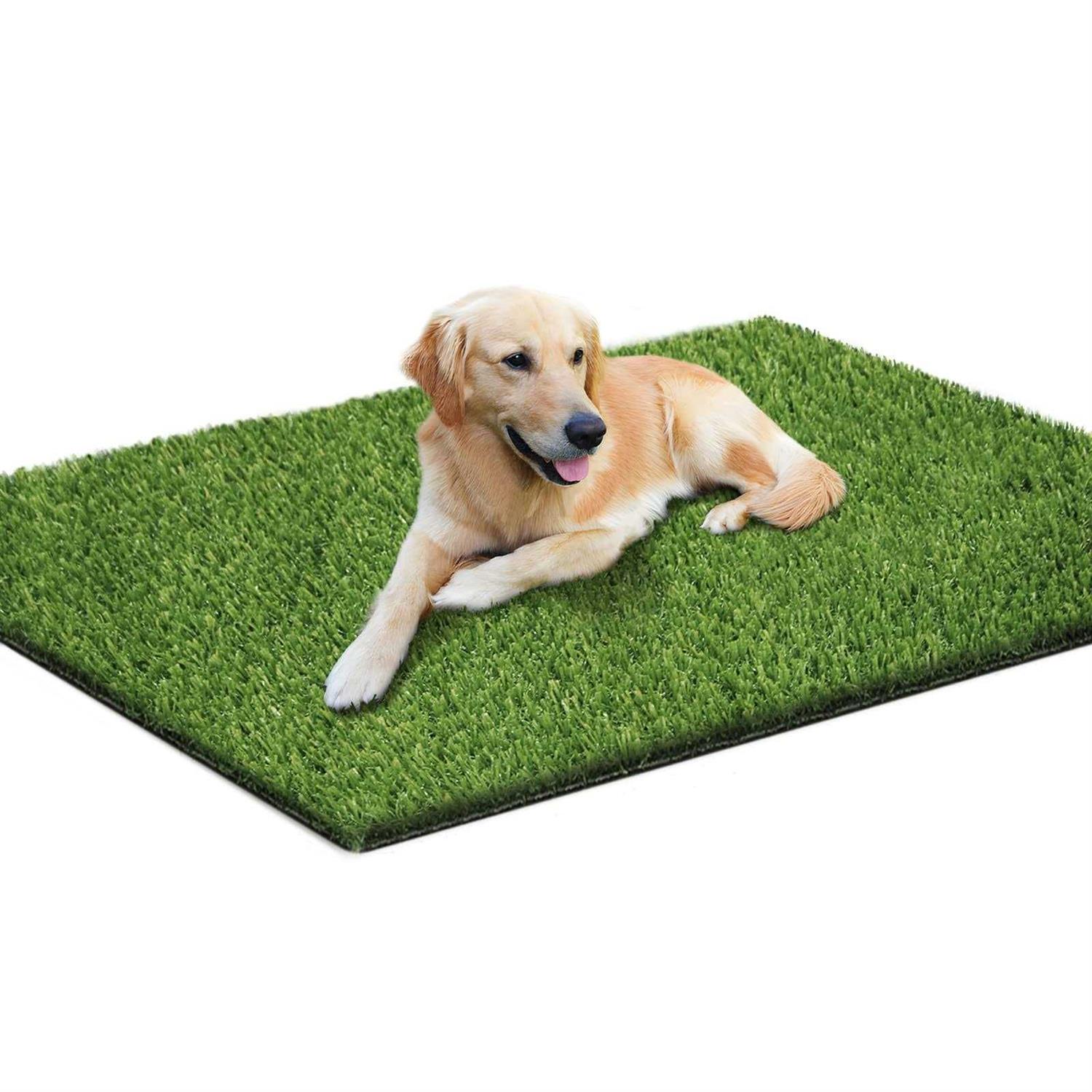 Loytryal 39.4 x 31.5 Inches Fake Grass Pee for Dogs Artificial Grass Rug Turf for Puppy Potty Training Washable Grass Mat Pee Grass for Dog Potty