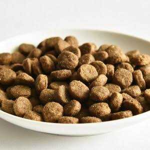 Go! Solutions Skin + Coat Care Salmon Recipe Dry Dog Food