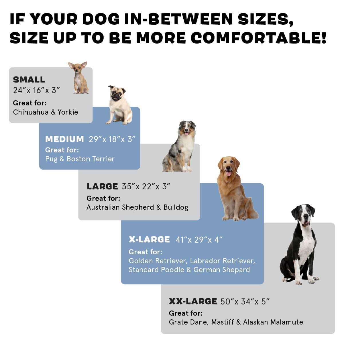 Barkbox Memory Foam Platform Dog Bed Plush Mattress for Orthopedic Joint Relief