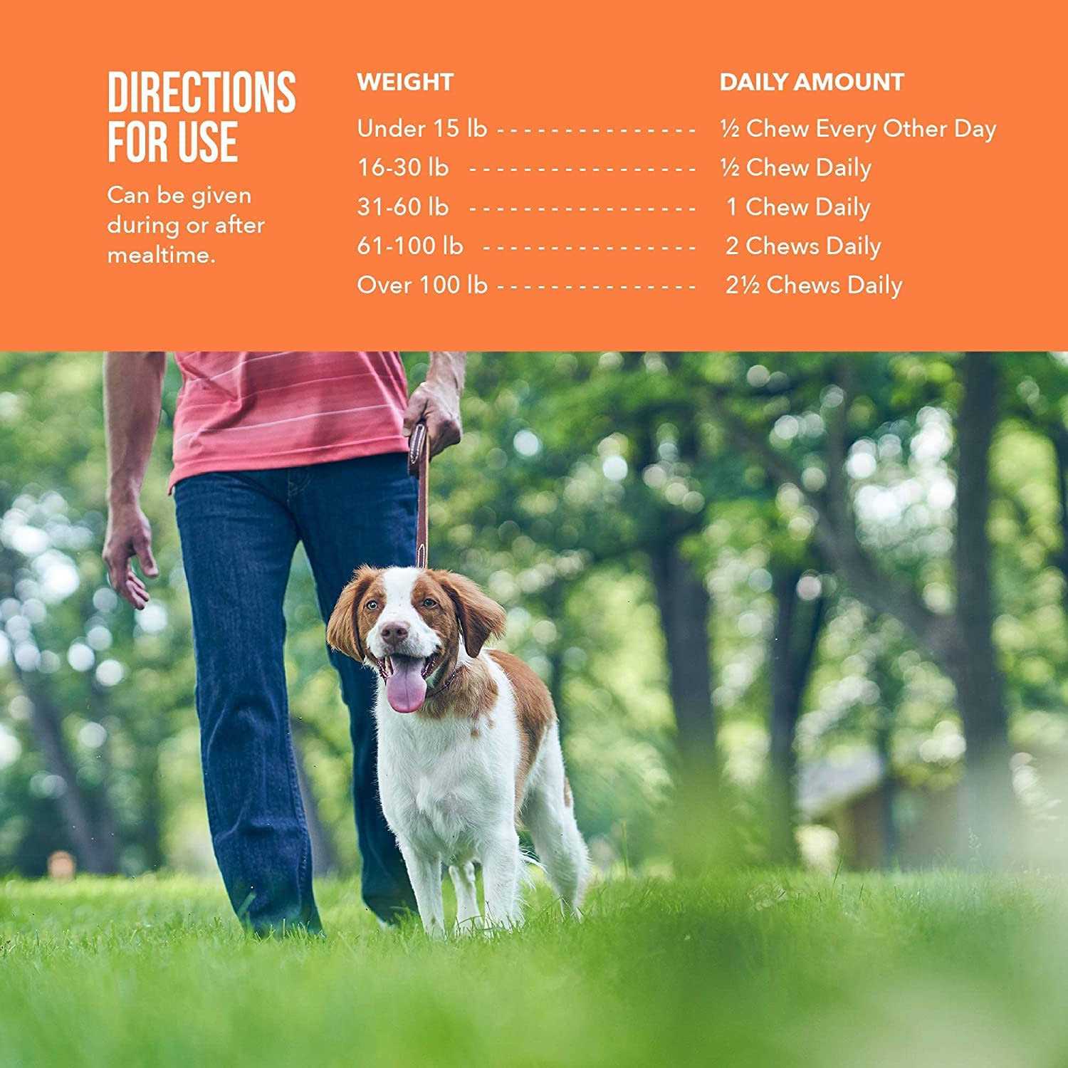 Synovi G4 Joint Supplement Soft Chews for Dogs