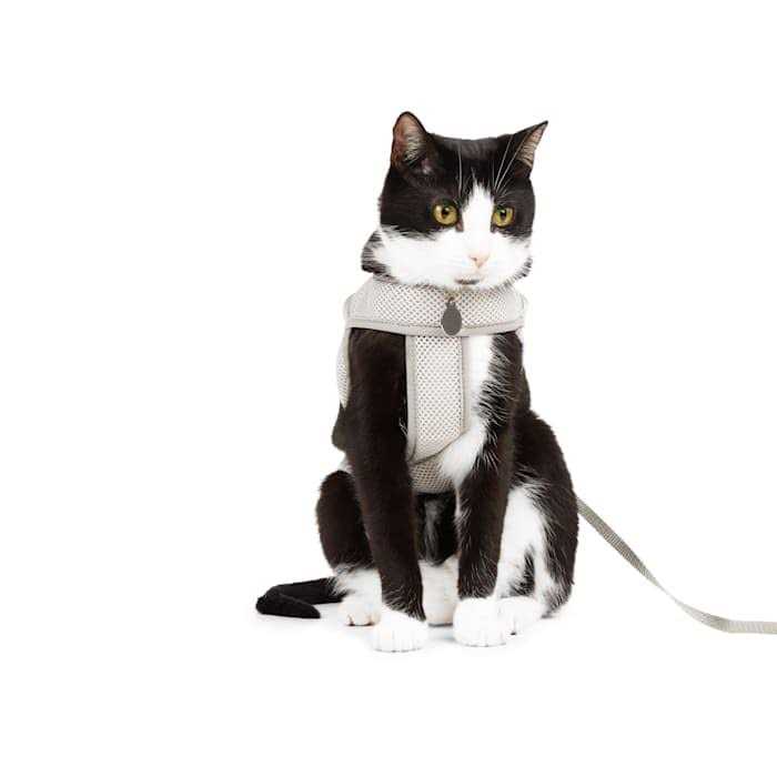 Youly Mesh Safety Gray Cat Harness