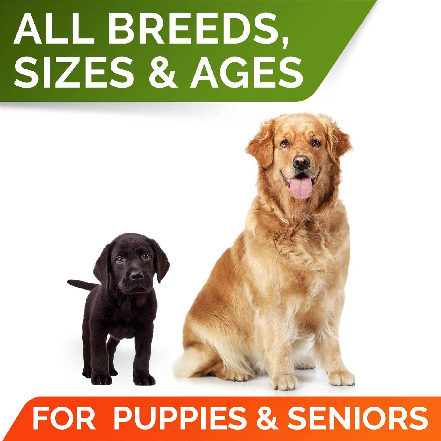 StrellaLab Pumpkin High Fiber Stool Consistency Powder Digestive Supplement for Dogs