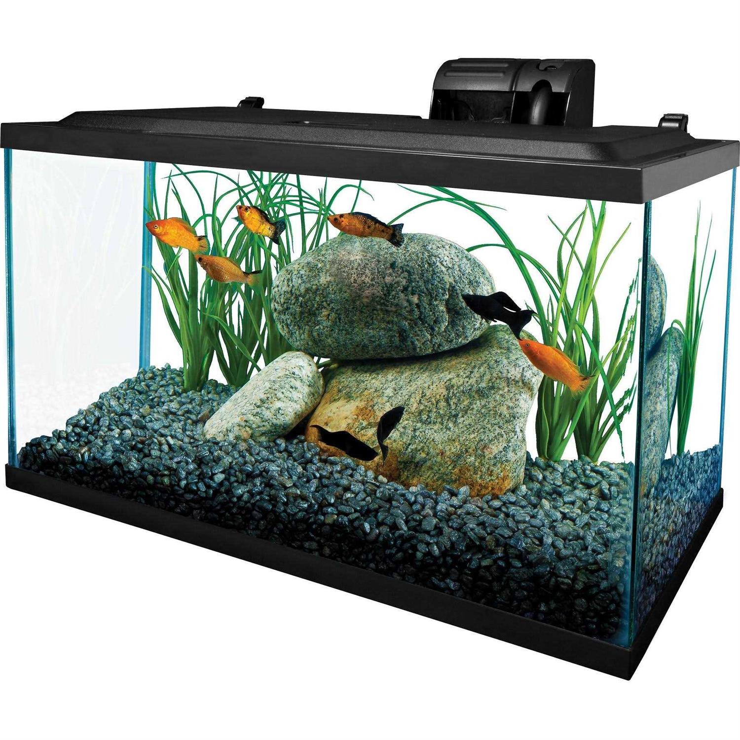 Tetra Glass Aquarium 10 Gallons