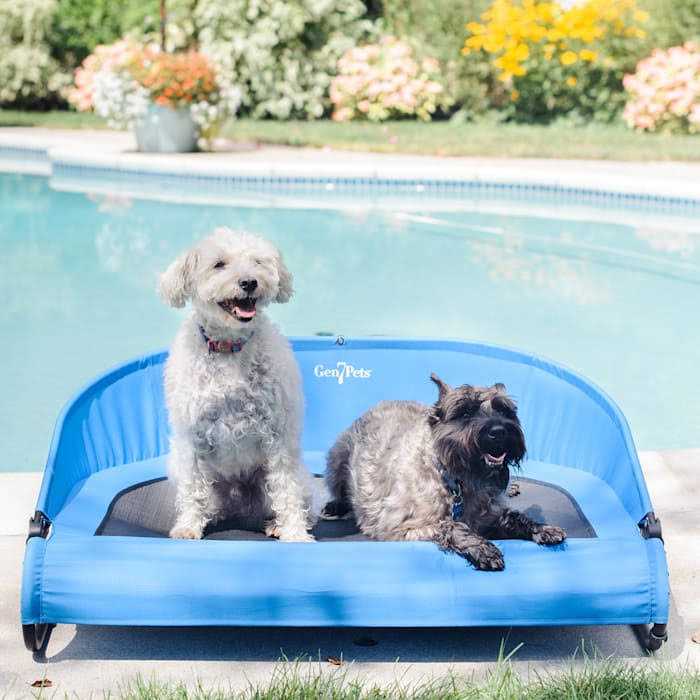 Gen7Pets Trailblazer Cool-Air Cot