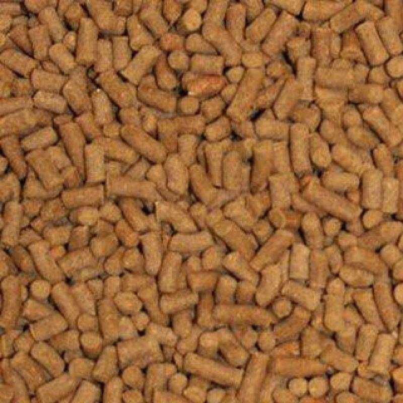 Omega One Shrimp Pellets Fish Food