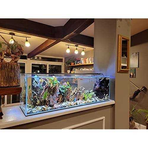 Lifegard Aquatics Long Ultra Crystal Clear Bookshelf Aquarium