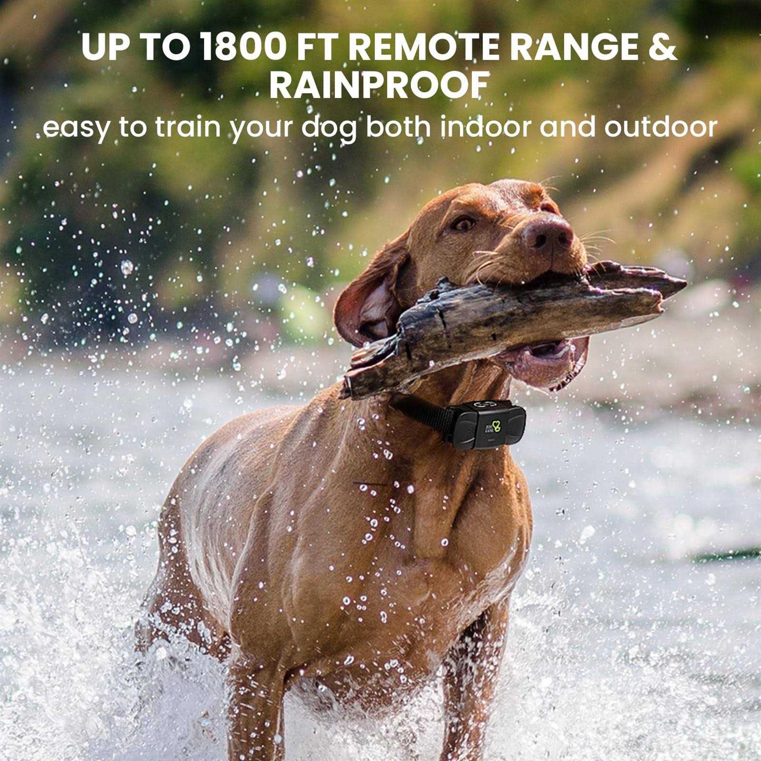 Dog CARE Dog Training Collar Shock Collar with Beep Vibration