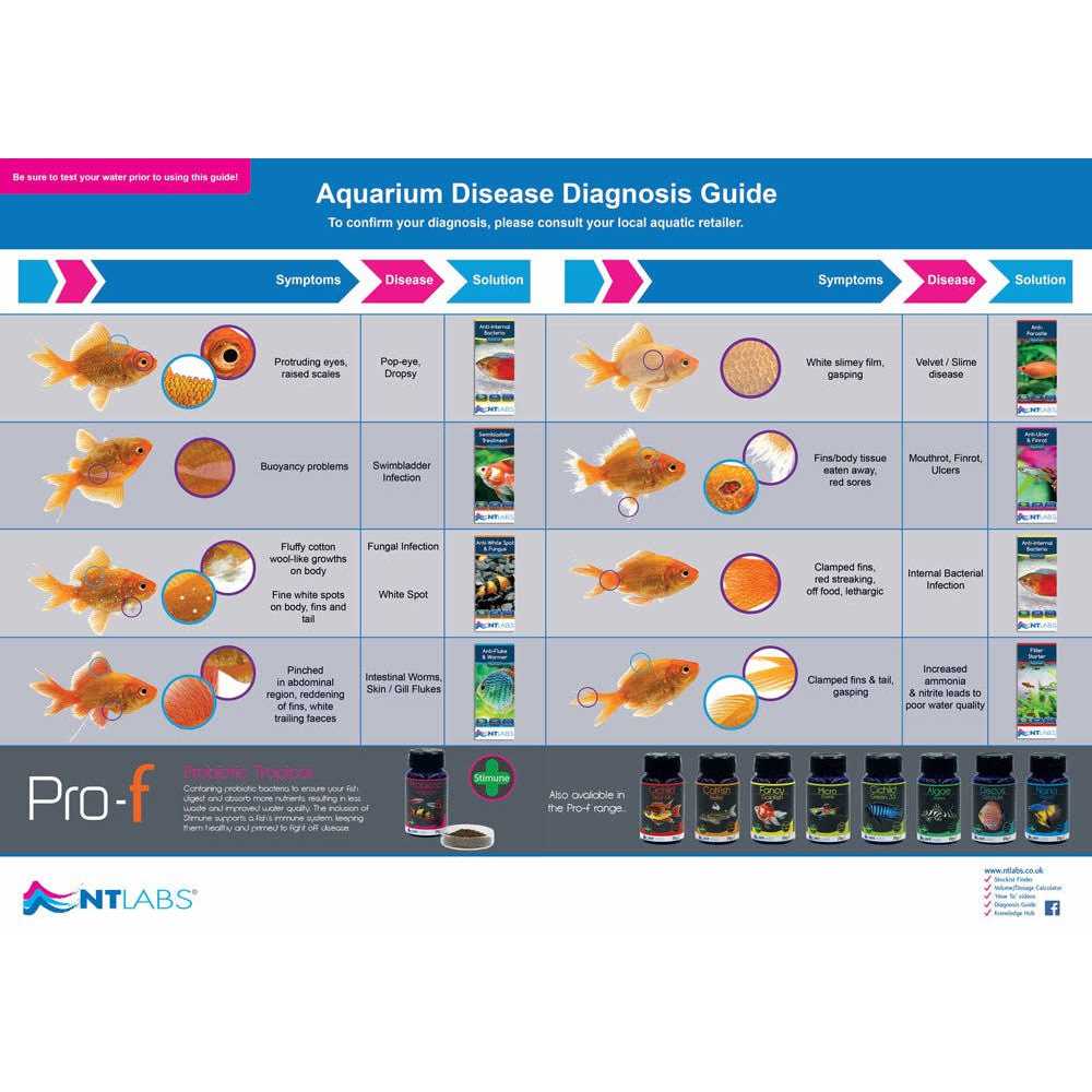 Ntlabs Swimbladder Contra problema vejiga 134 GR