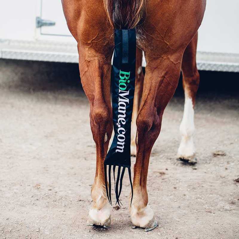 BioMane Tailbag Protect Your Horse’s Tail