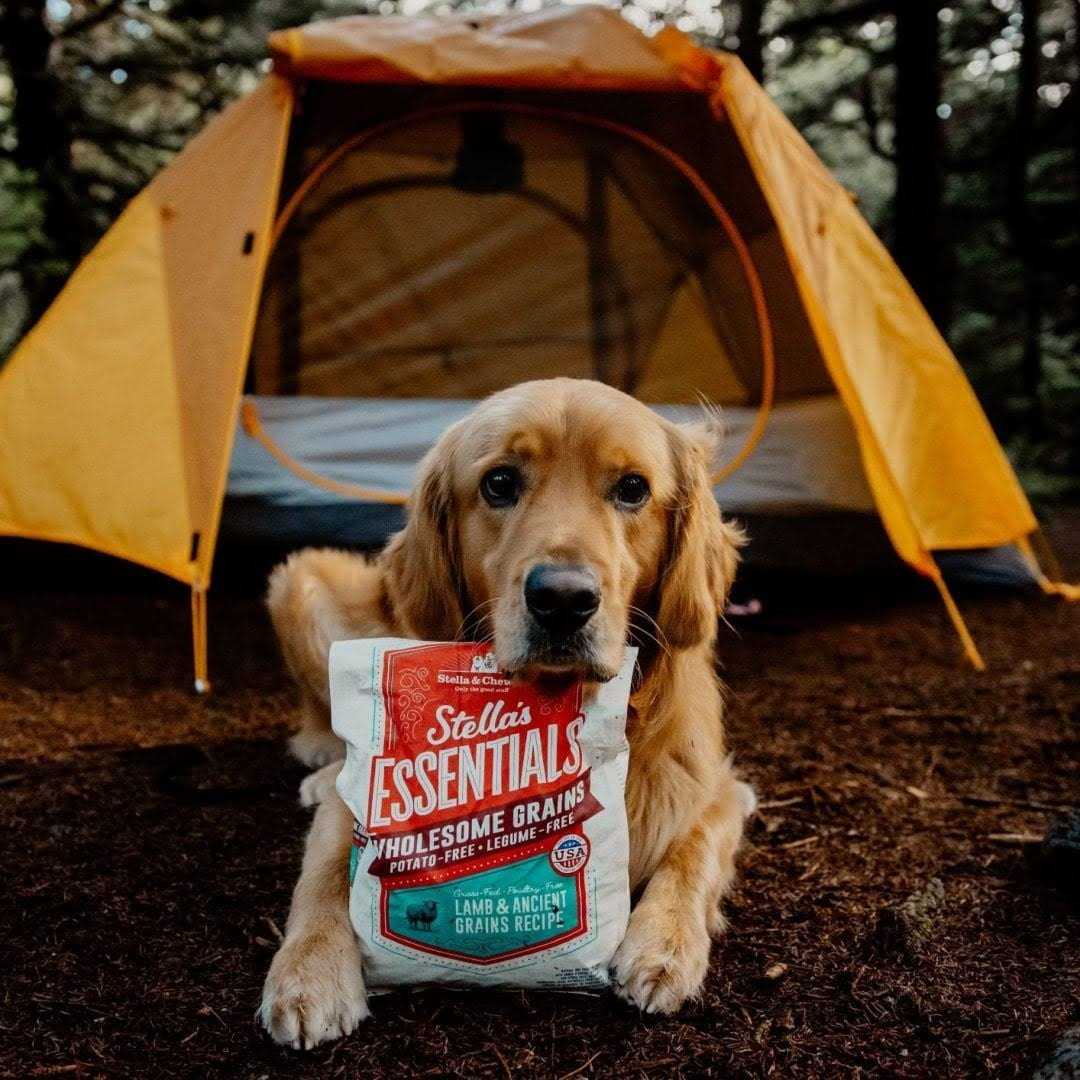 Stella & Chewy’s Essentials Ancient Grains Recipe Dog Food