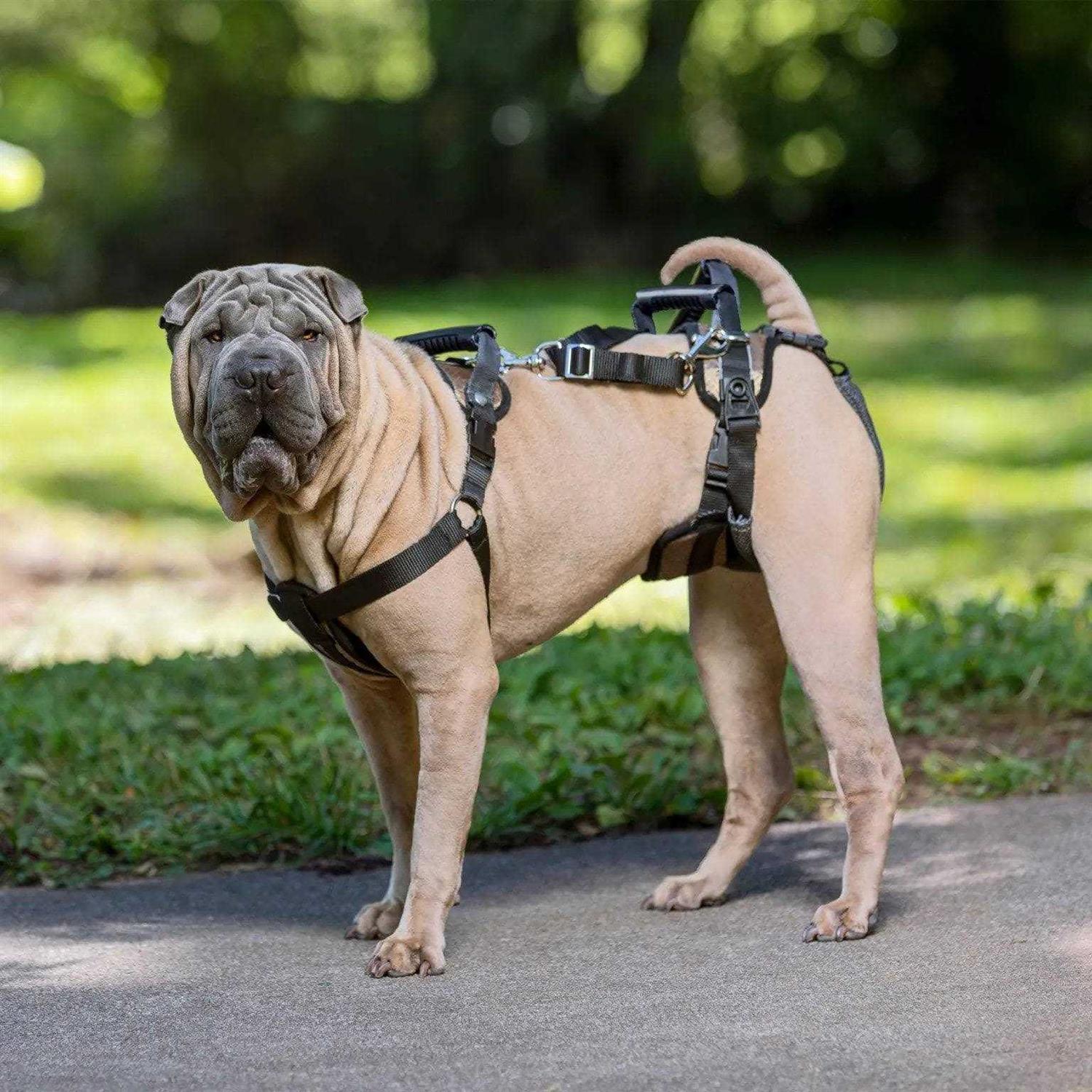 PetSafe CareLift Dog Rear Harness