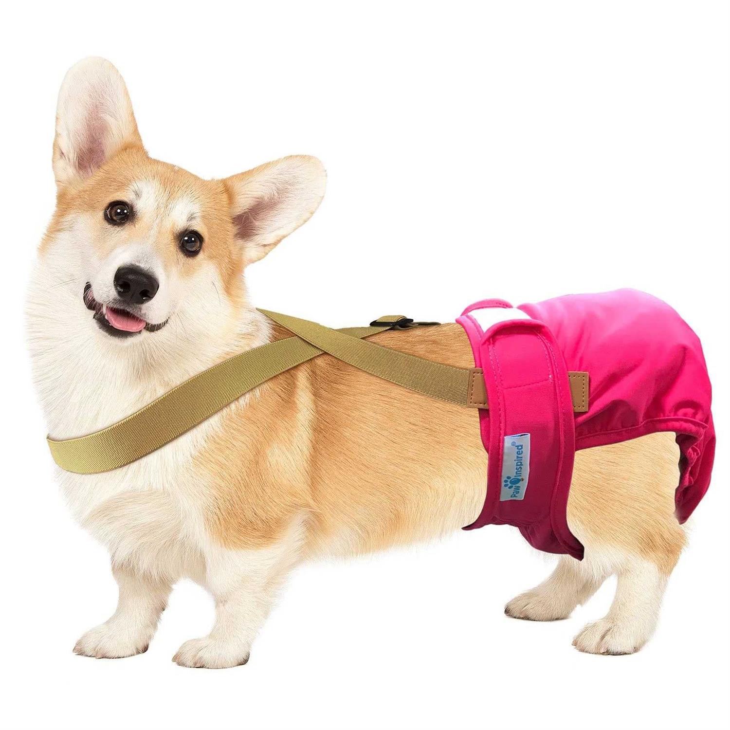 Paw Inspired Dog Diaper Suspenders