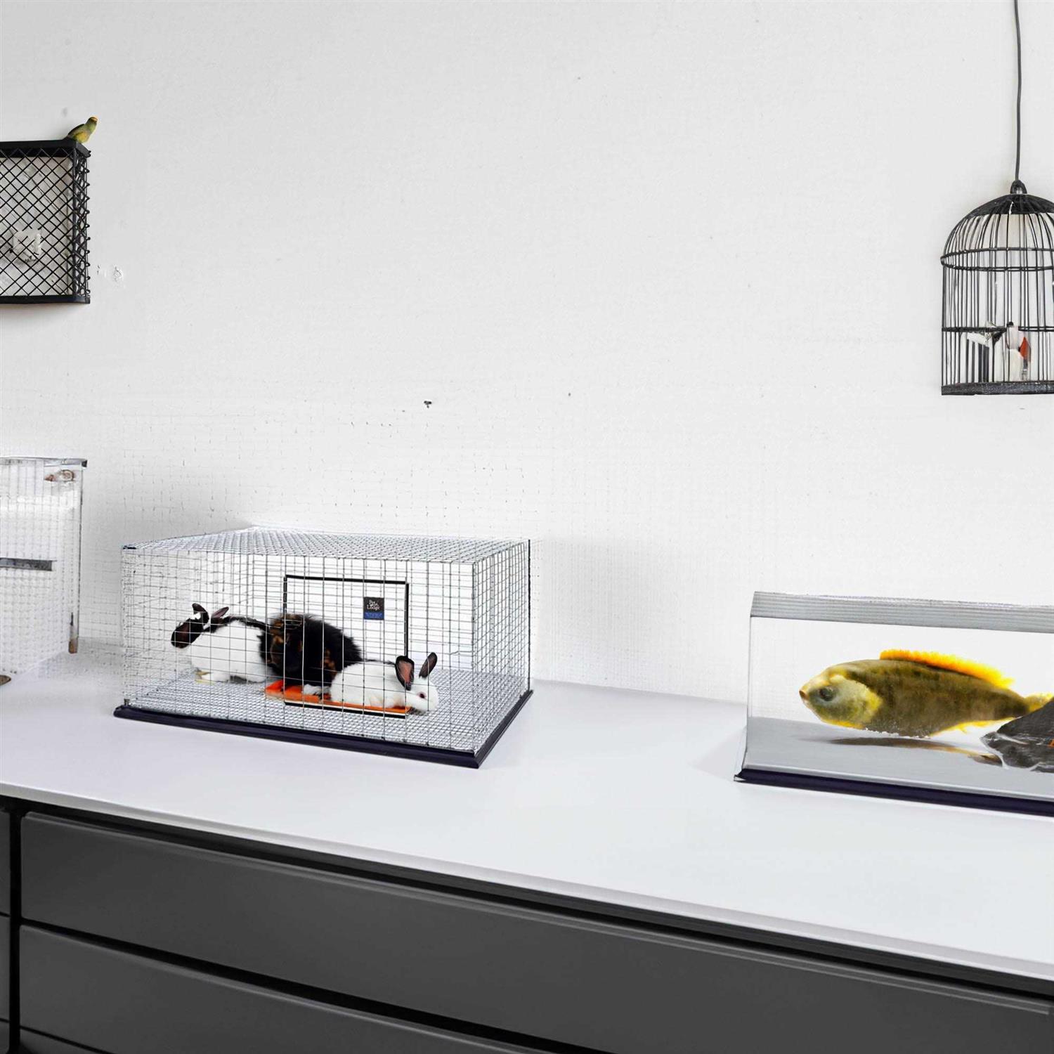 Pet Lodge Rabbit Hutch