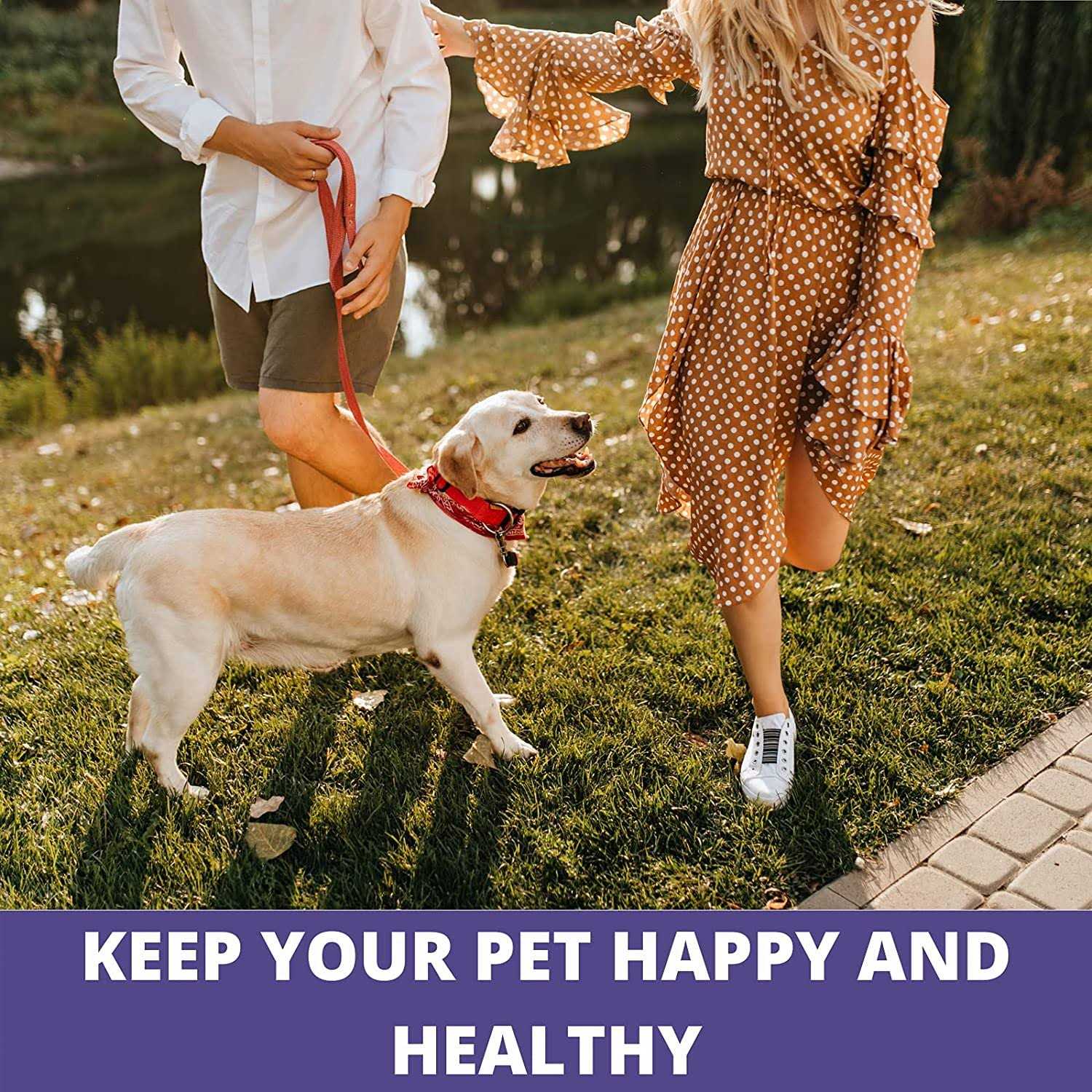 Bio-Groom Coat Polish Spray On Sheen