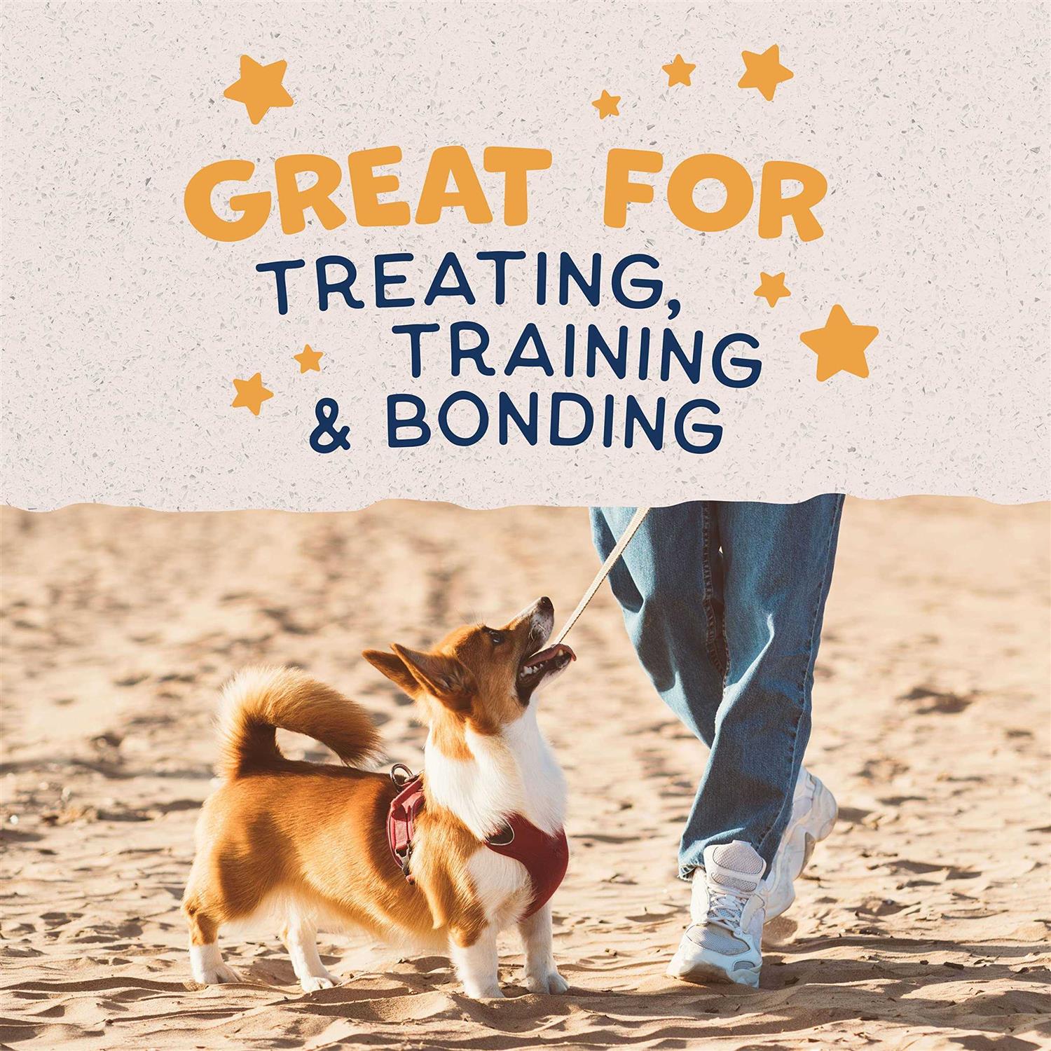 Natural Balance Limited Ingredient Treats Potato & Duck