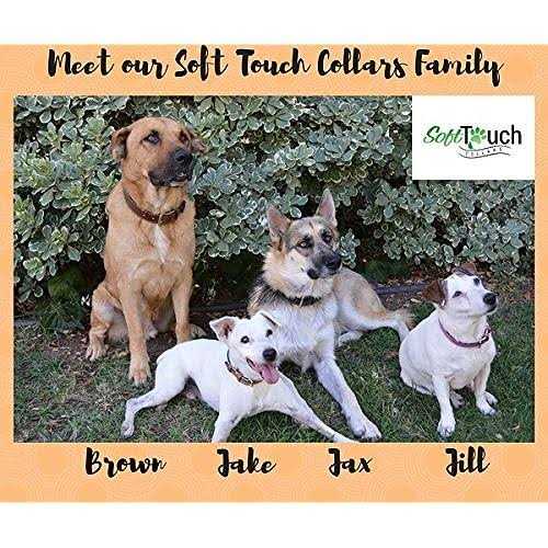 Soft Touch Collars Leather Dog Collar Padded