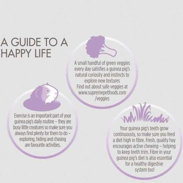 Science Selective Grain Free Guinea Pig Food