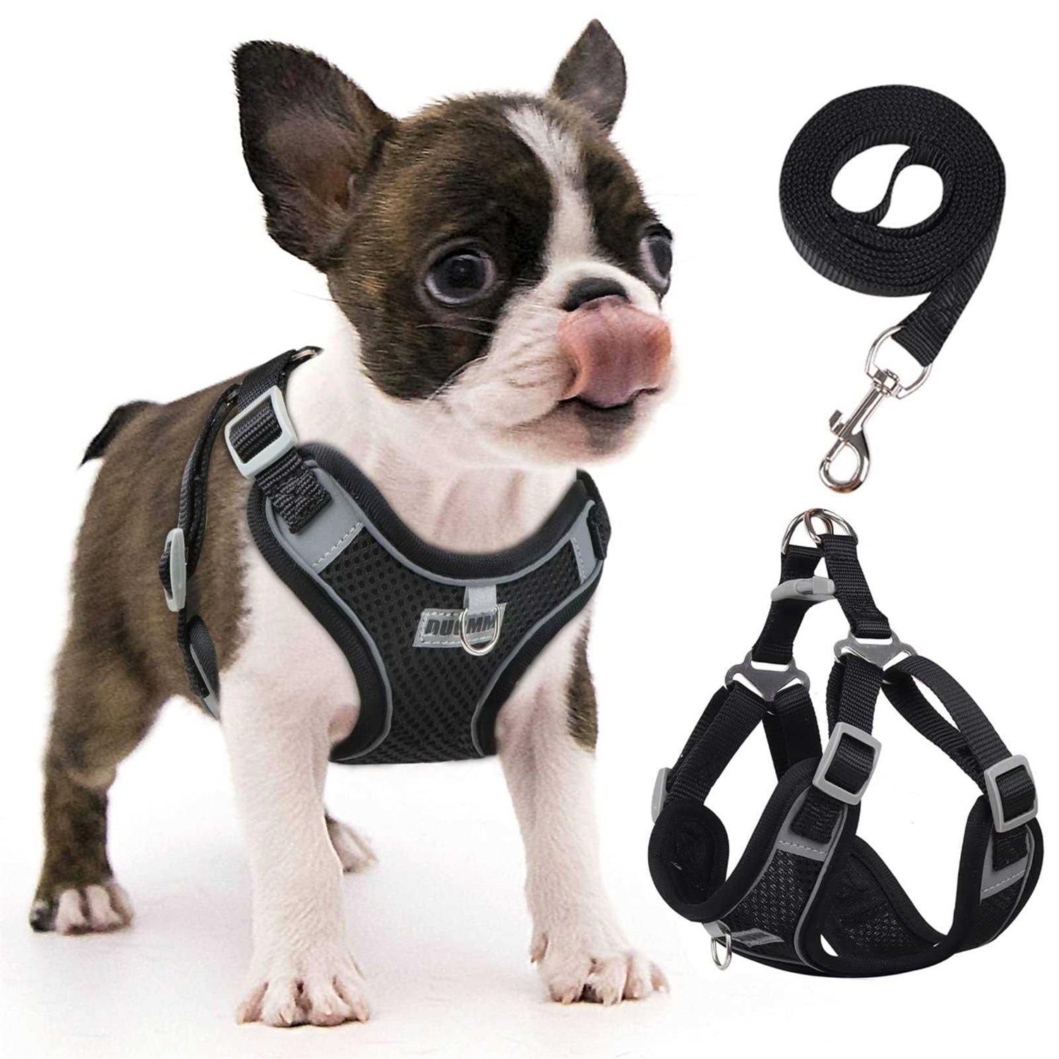 rennaio Dog Harness No Pull, Adjustable Puppy Harness with 2 Leash Clips, Ultra Padded Dog Vest Harness, Reflective Dog Harness and Leash