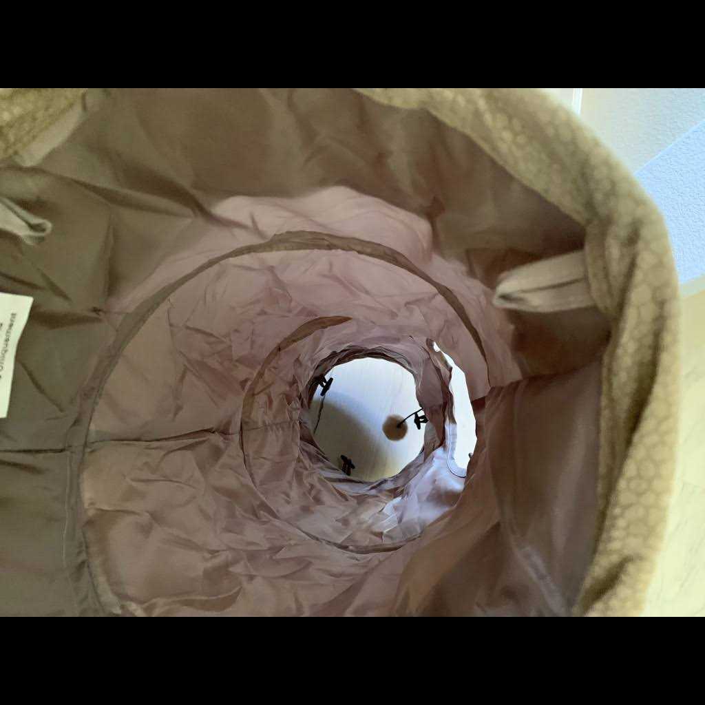 Best Friends by Sheri Ilan Oxford Cat Tunnel