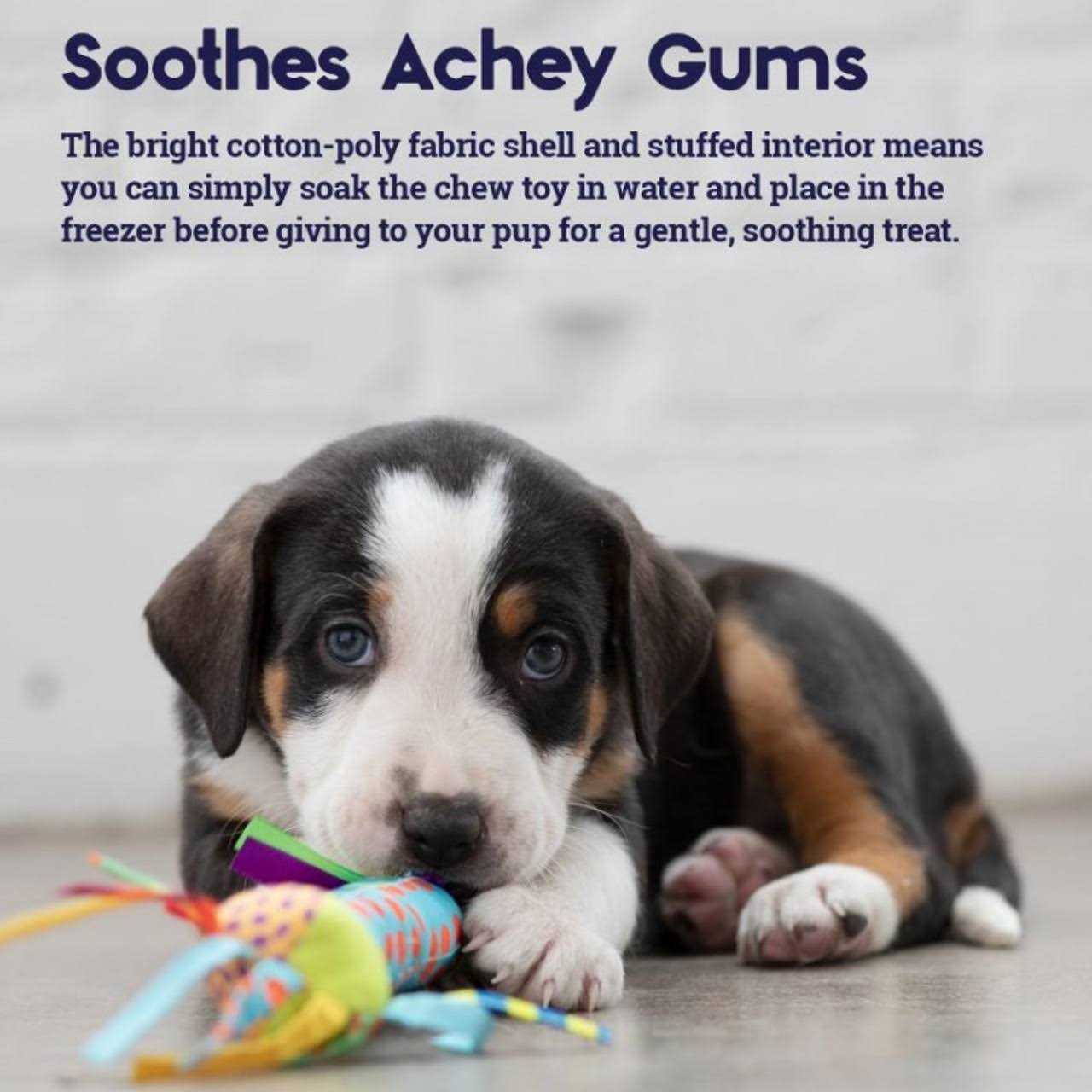 Petstages Cool Teething Stick Dog Toy