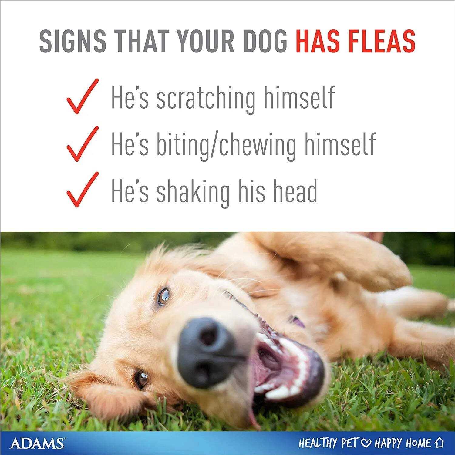 Adams Flea & Tick Plus Collar for Dogs