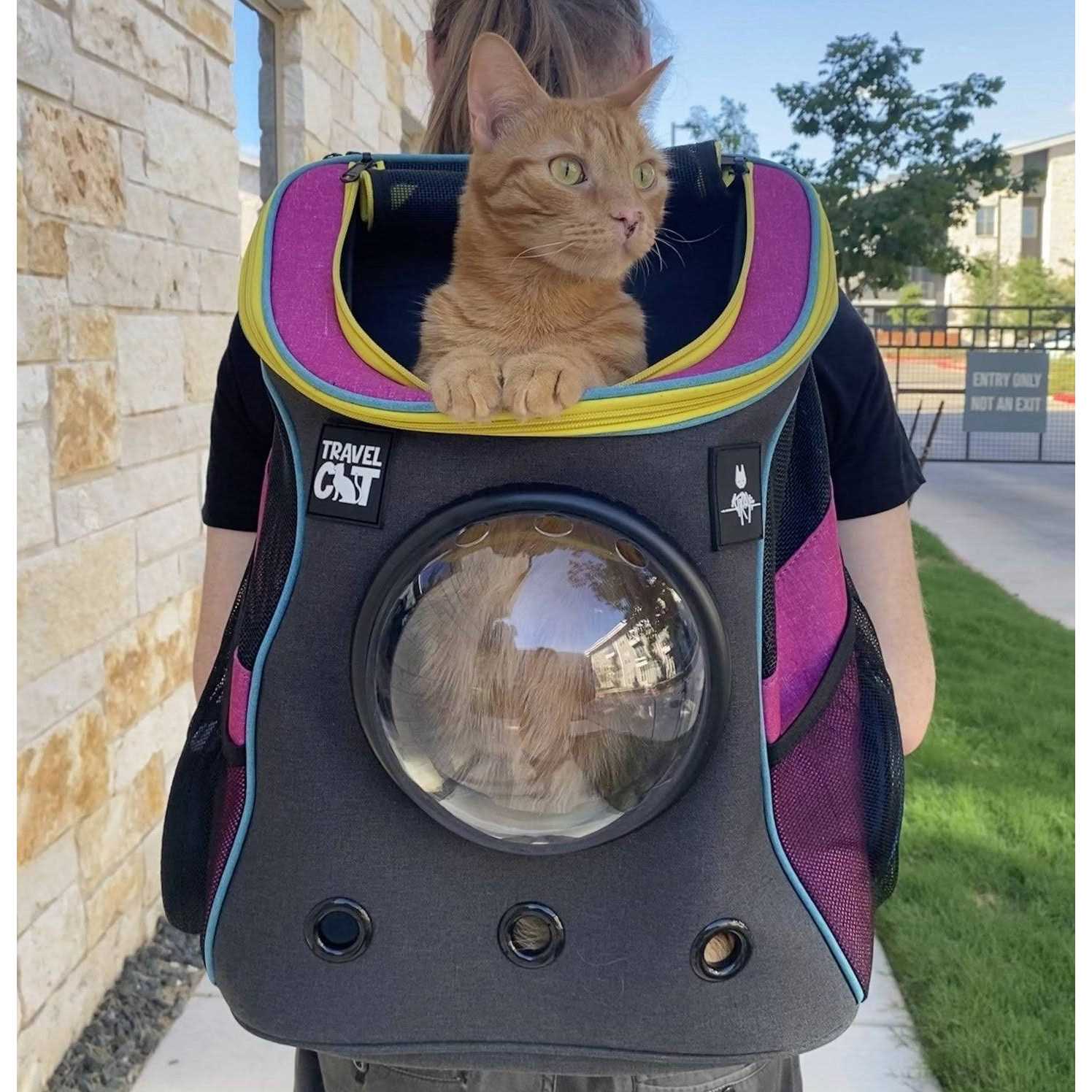 Cat Backpack Stray x Travel