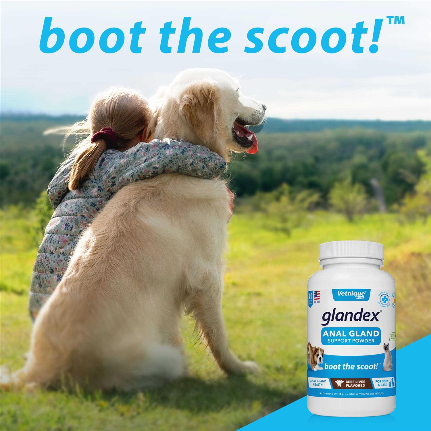 Glandex Anal Gland Support Powder for Dogs & Cats