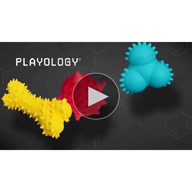 Playology Puppy Sensory Ball Dog Toy