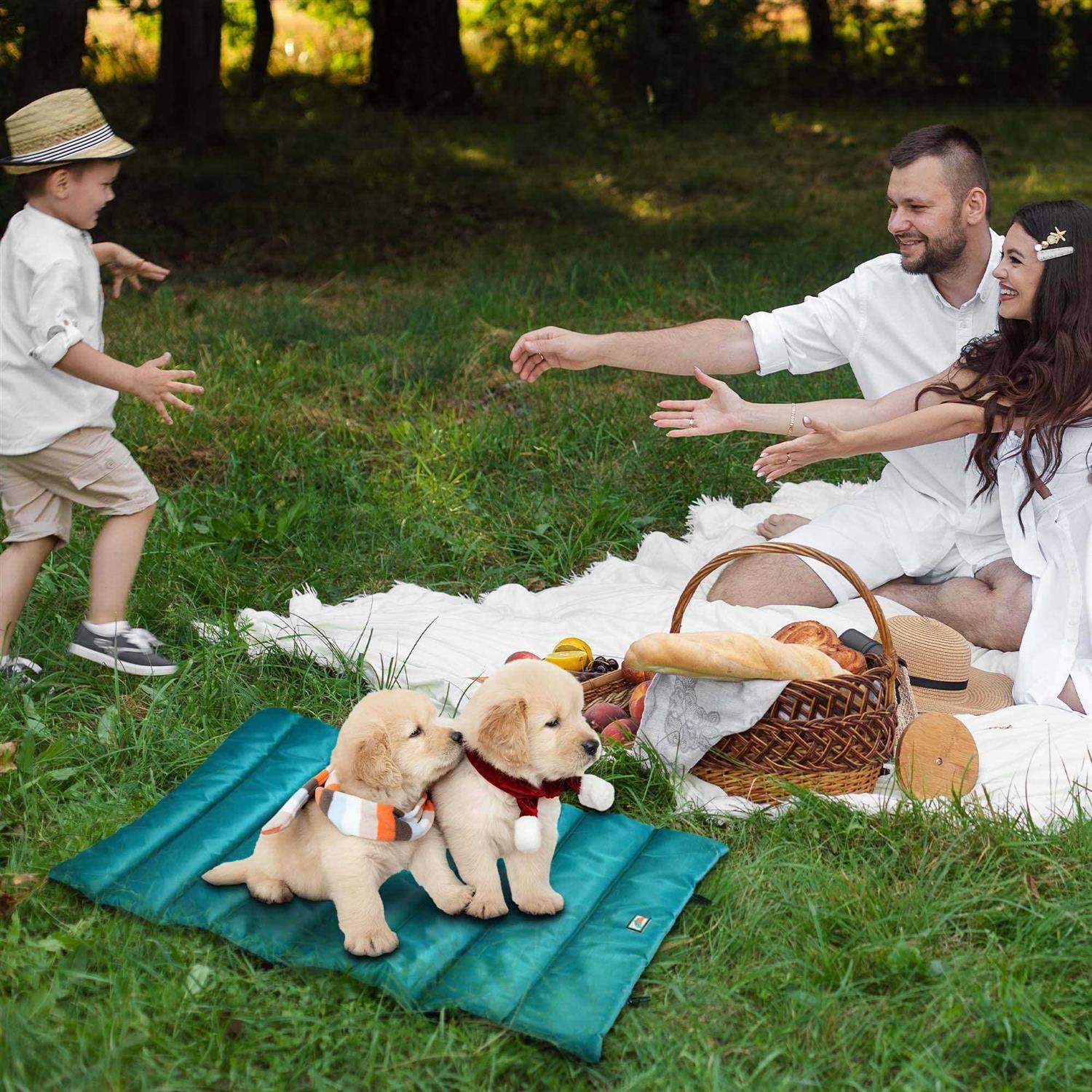 Go Gear by Max & Marlow Portable Waterproof Roll Up Dog Mat Bed