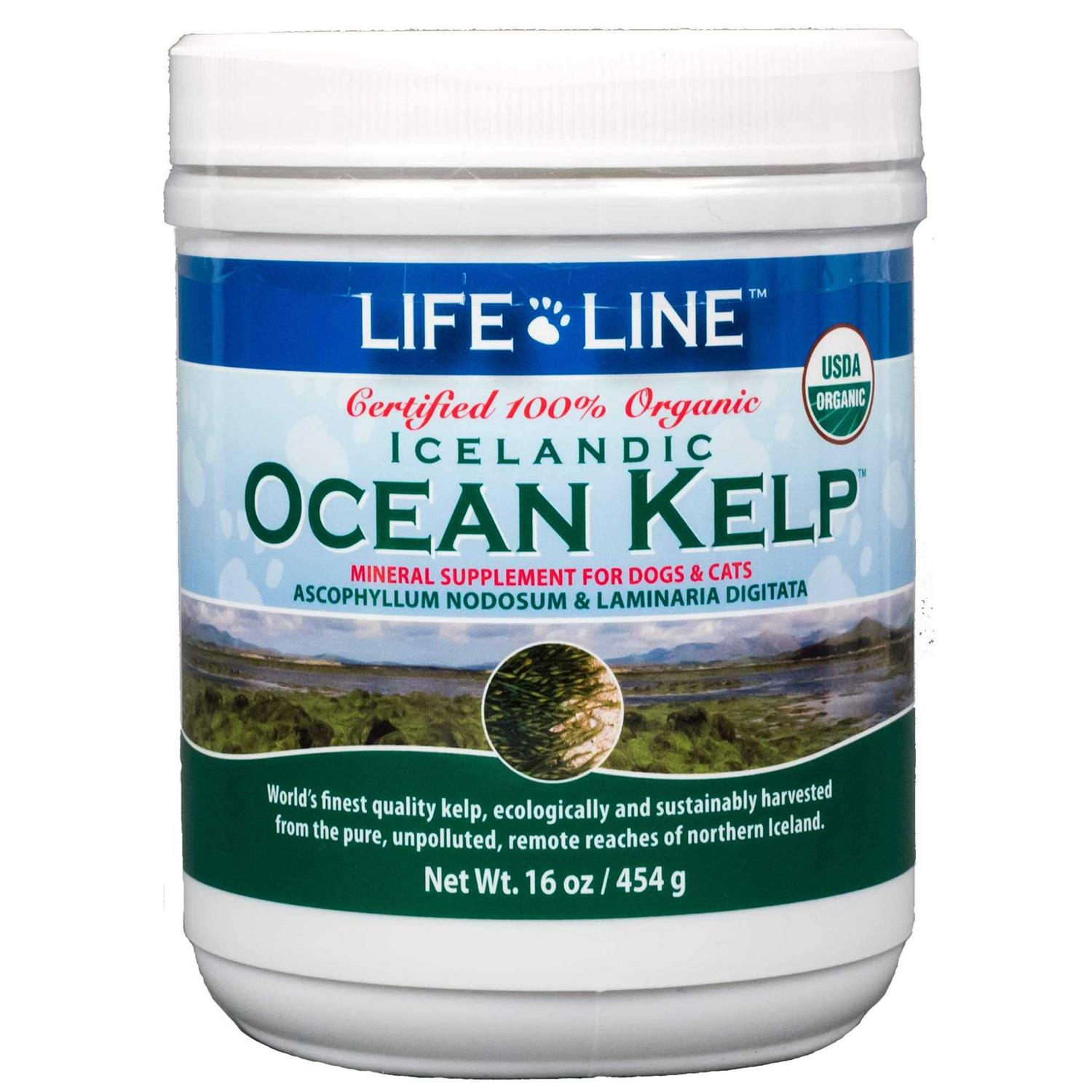 Life Line Pet Nutrition Life Line Ocean Kelp Dog & Cat Supplement