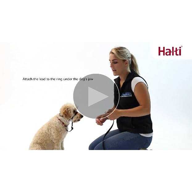 Halti Optifit Headcollar