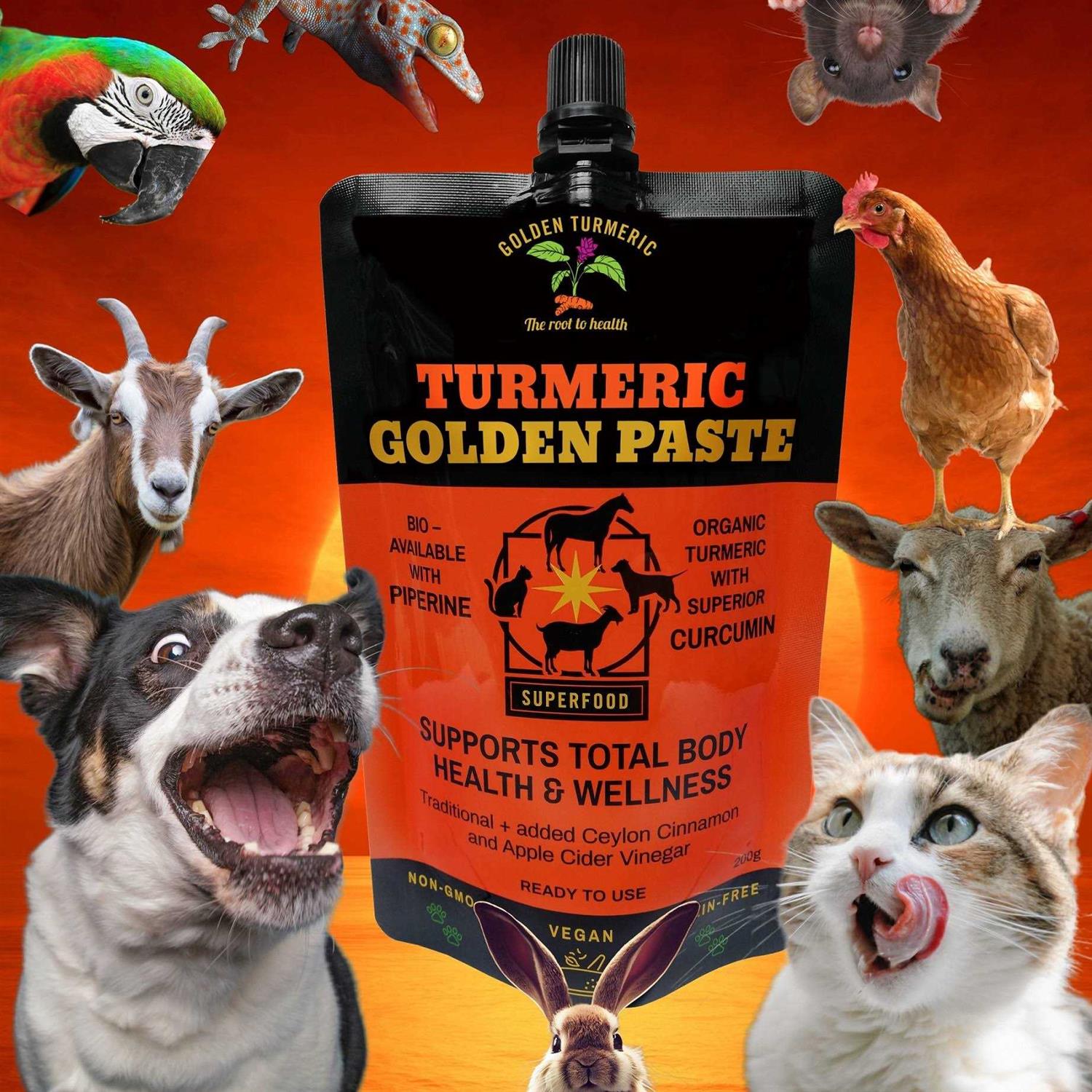 Turmeric Golden Paste for Pets 7 OZ
