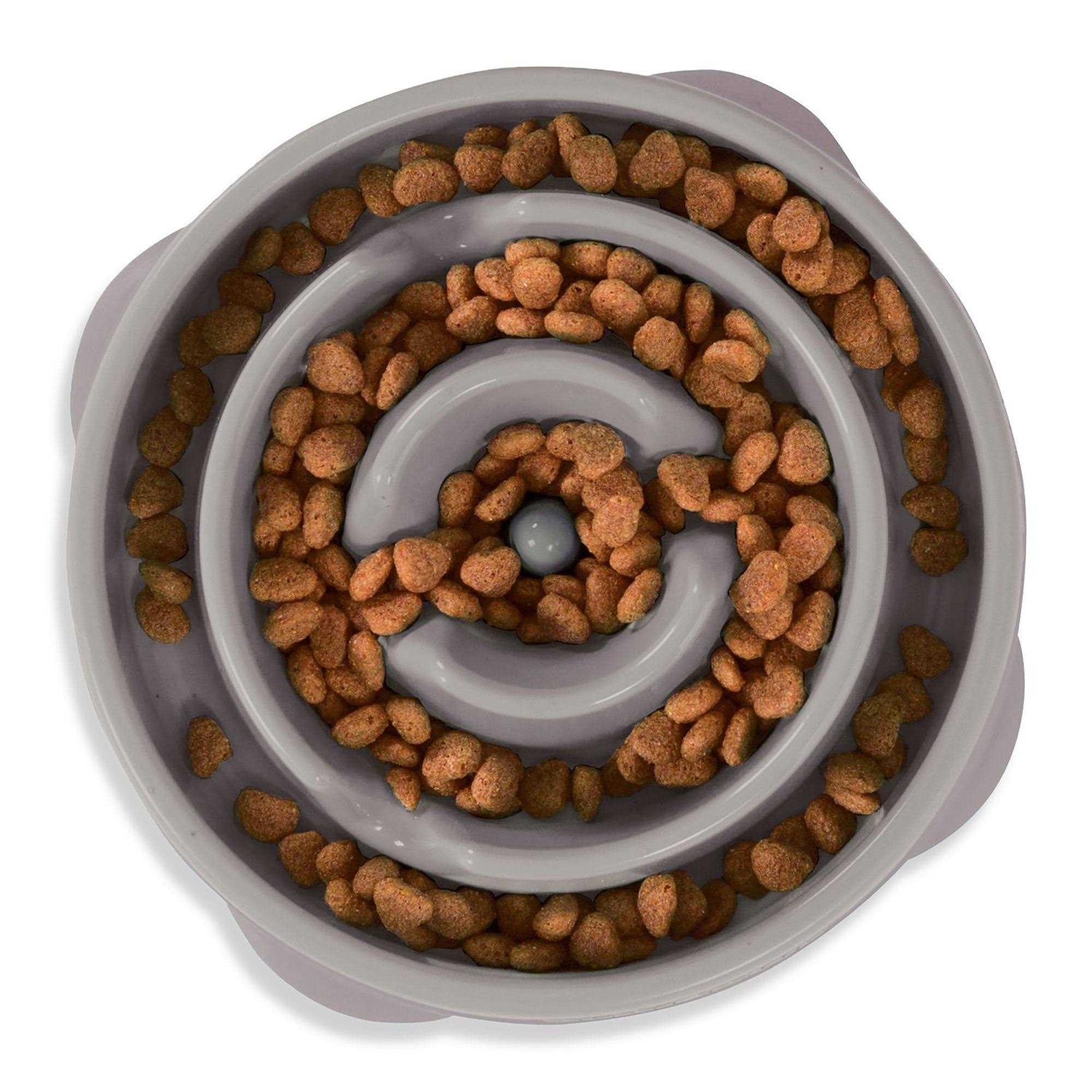 Outward Hound Fun Feeder Slow Dog Bowl