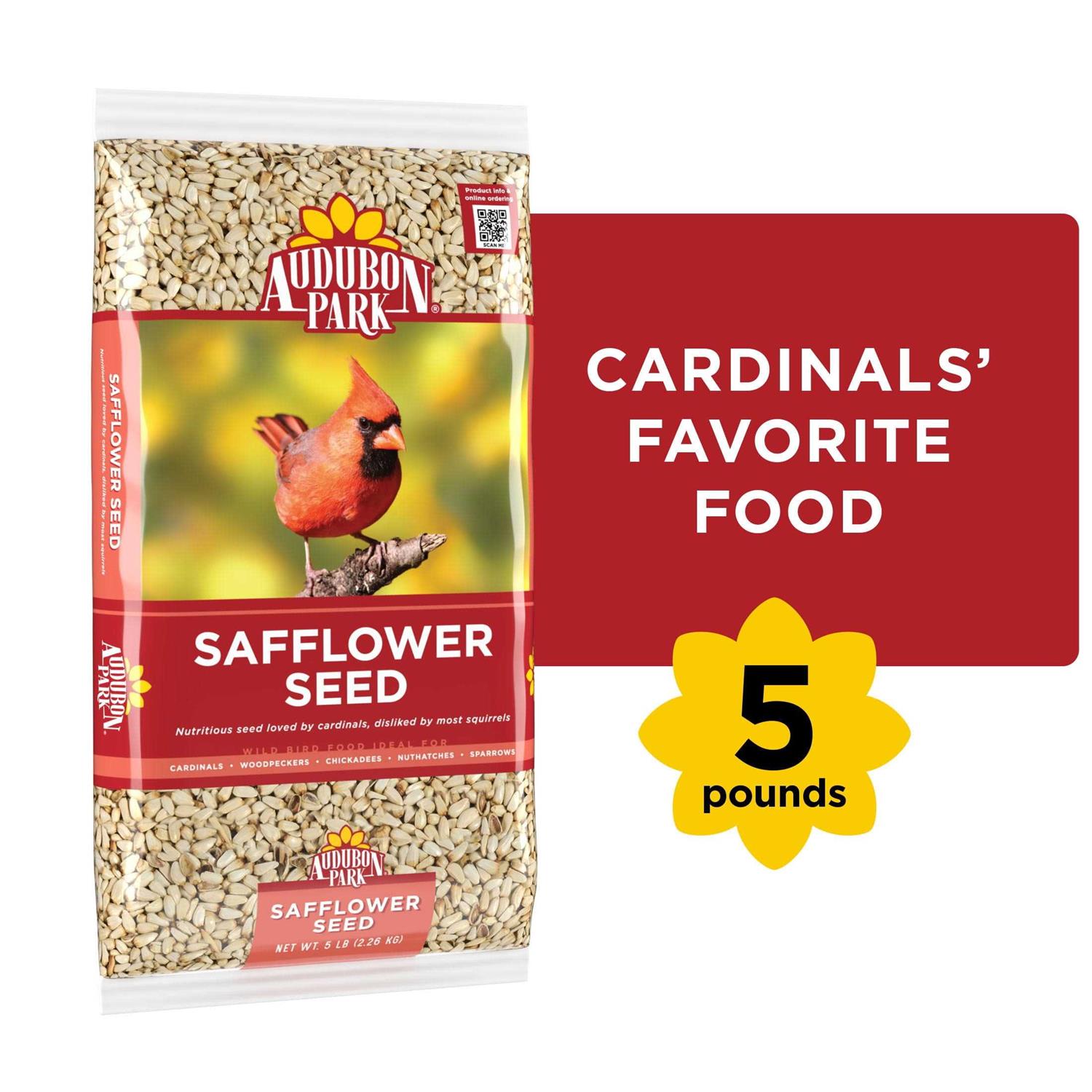 Audubon Park Safflower Seed Wild Bird Food