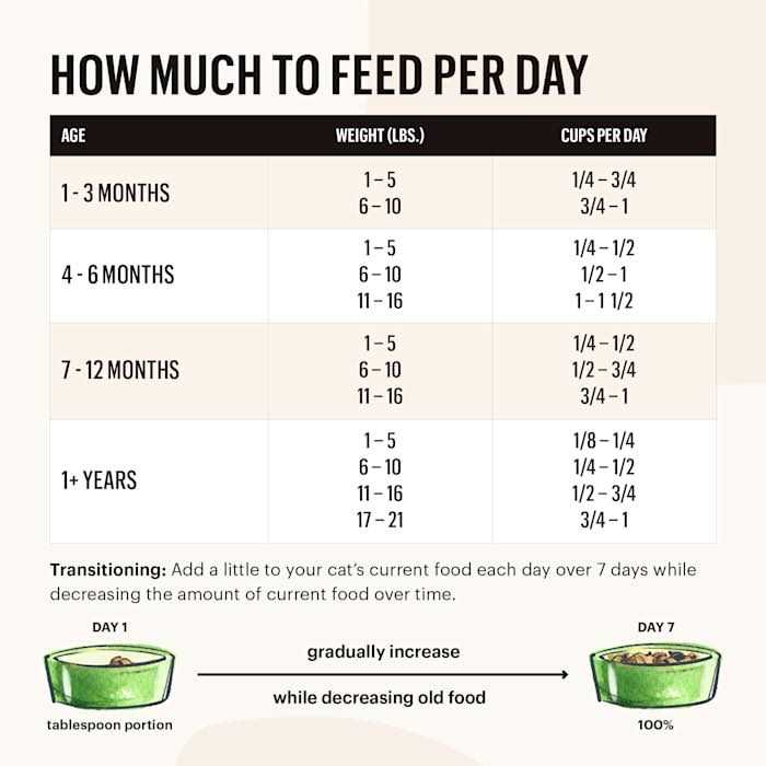 The Honest Kitchen Grain-Free Chicken Whole Food Clusters Dry Cat Food