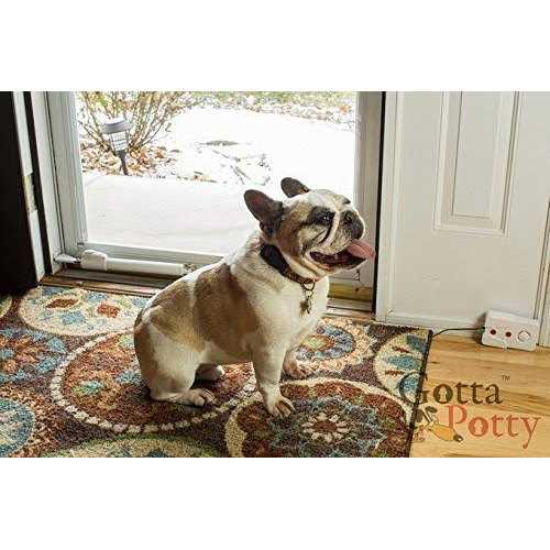 SAFETY VISION The Source Direct Wireless Dog Potty Training System