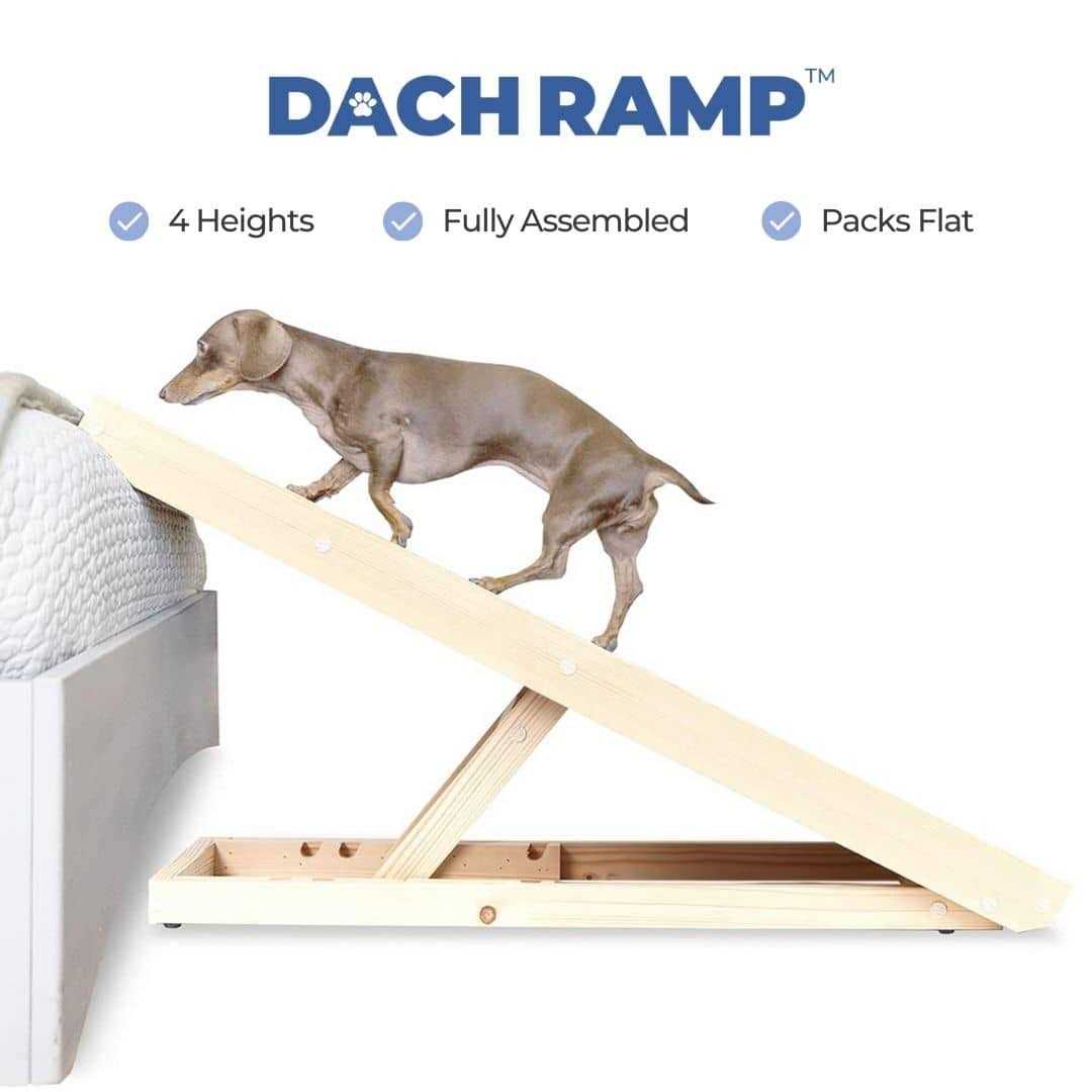Dachramp The Original Dachshund Ramp