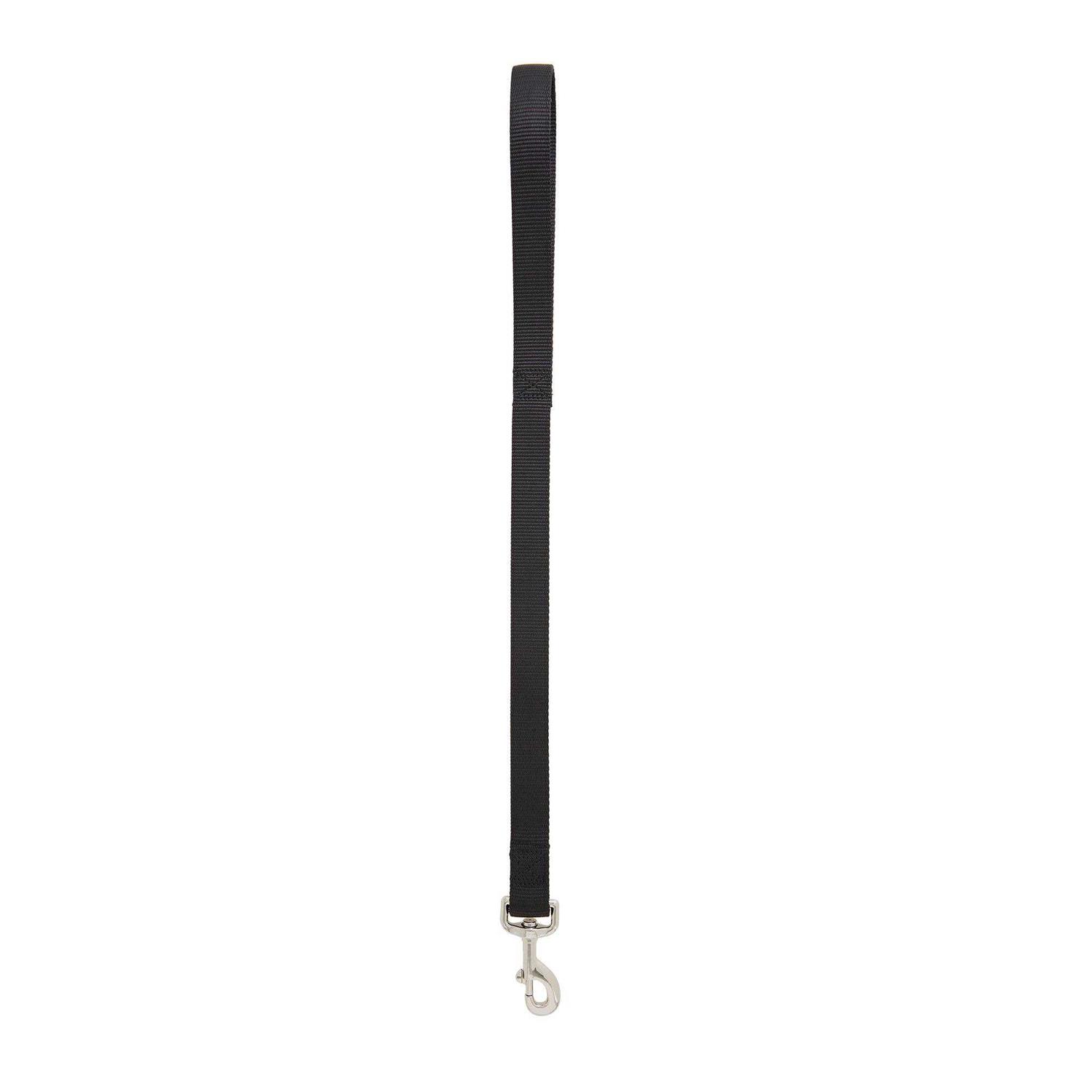 Top paw traffic dog leash news ruruana