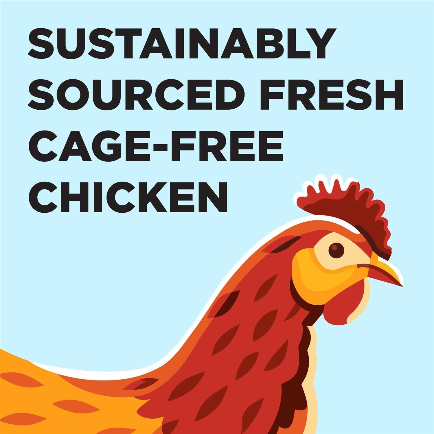 BIXBI Liberty Chicken Recipe Dry Cat Food