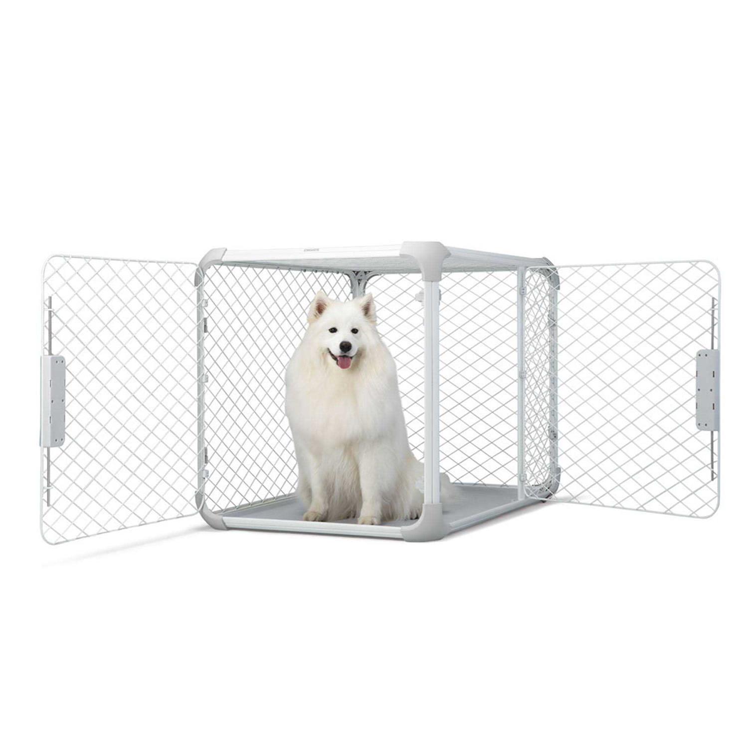 Diggs Evolv Dog Crate