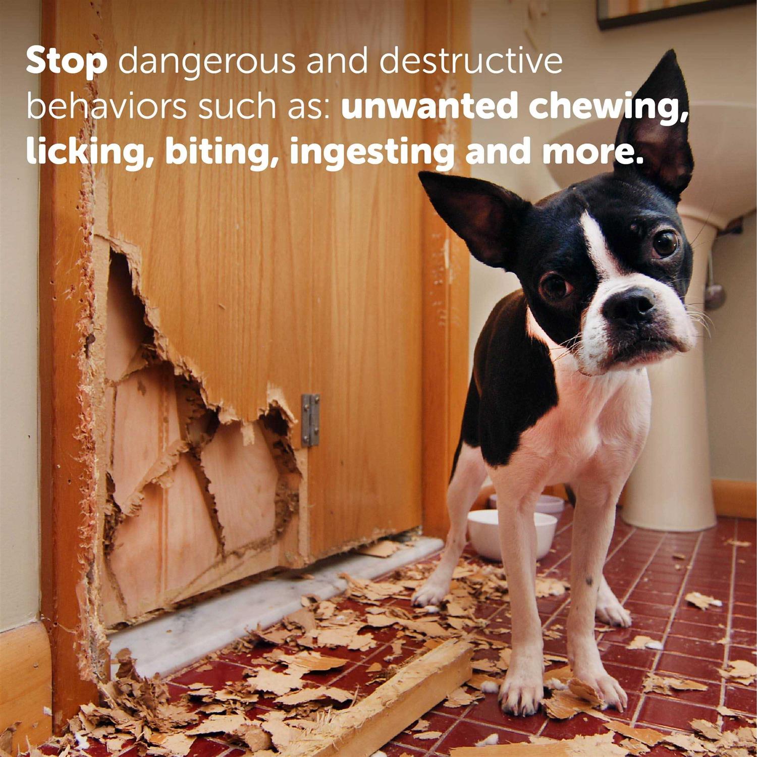 Synergy Labs Ultra Bitter Spray