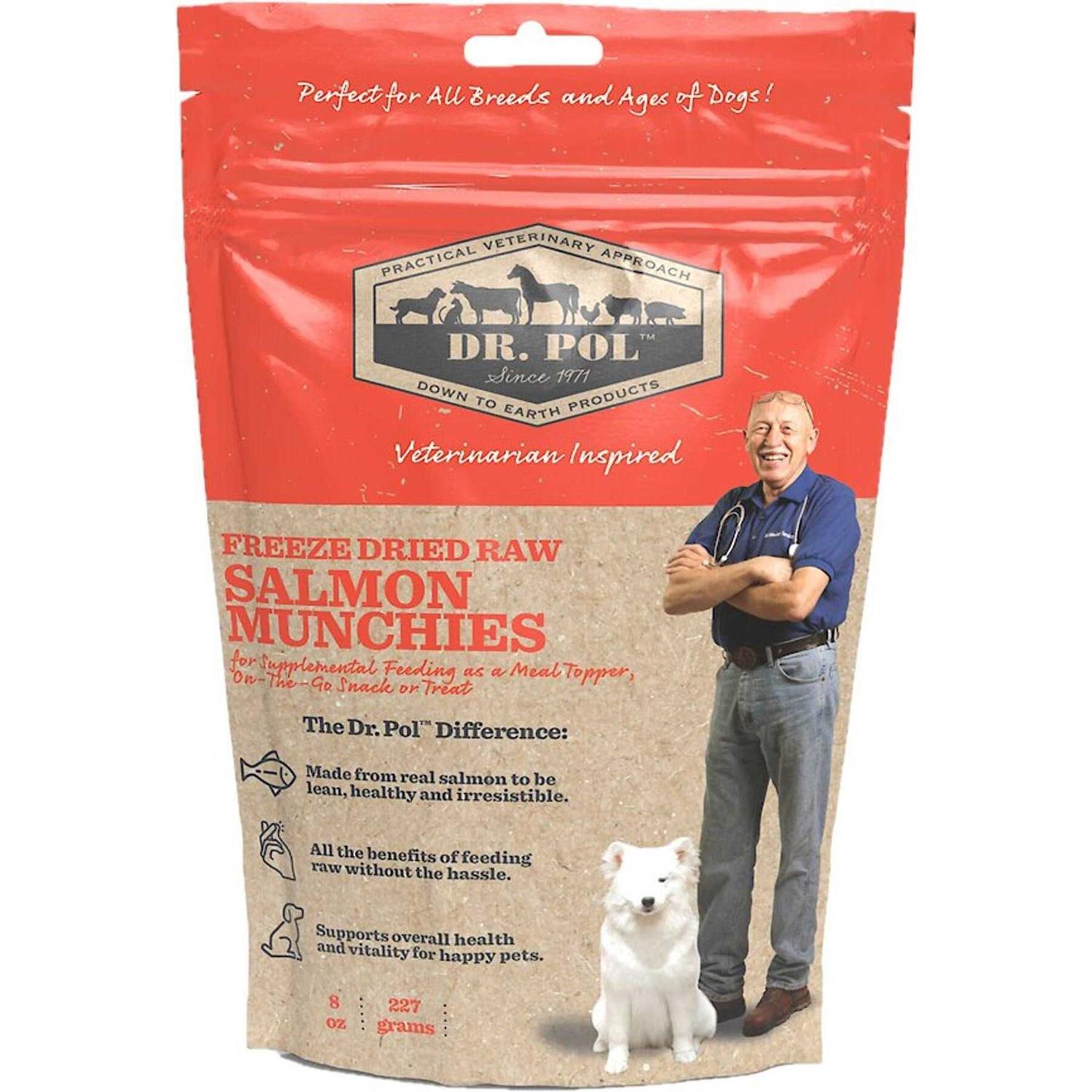 Dr. Pol Freeze Dried Munchies Salmon Dog Treat and Meal Topper